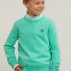 Hot River Woods Fancy trui ronde hals chewing gum -