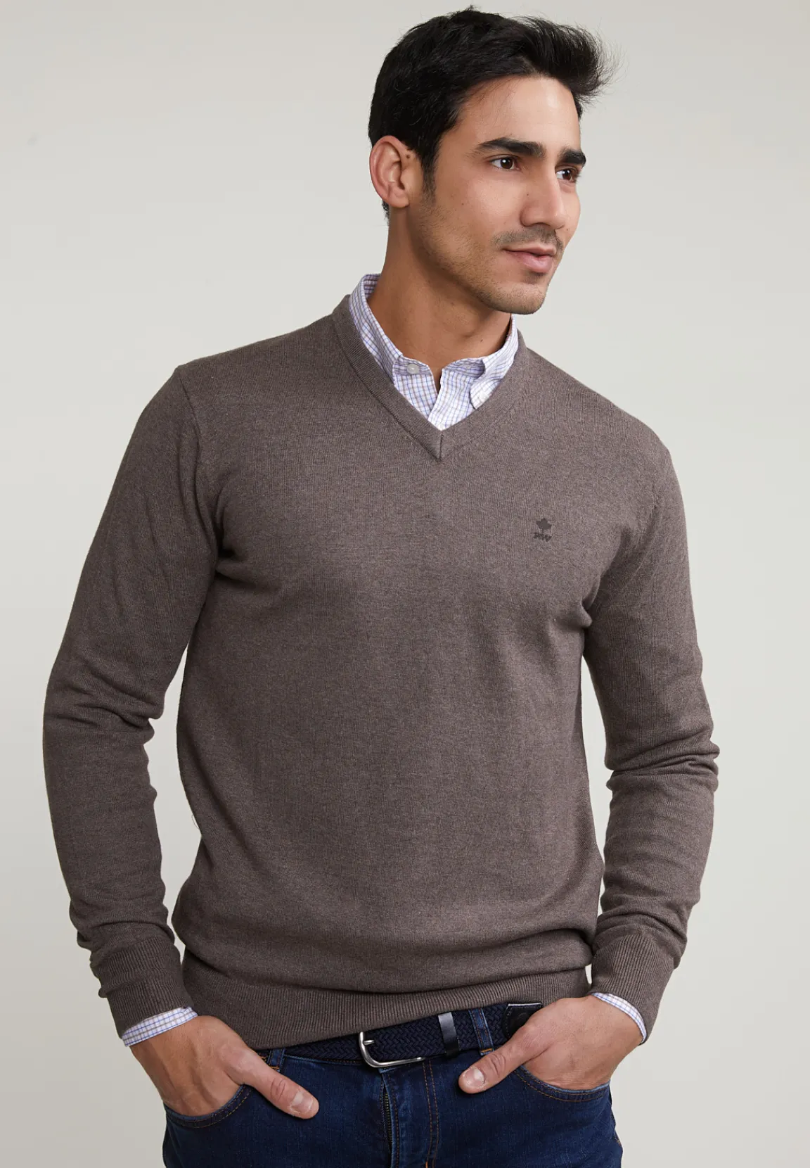 Hot River Woods Normal fit basic katoenen V-hals trui croissant mix -