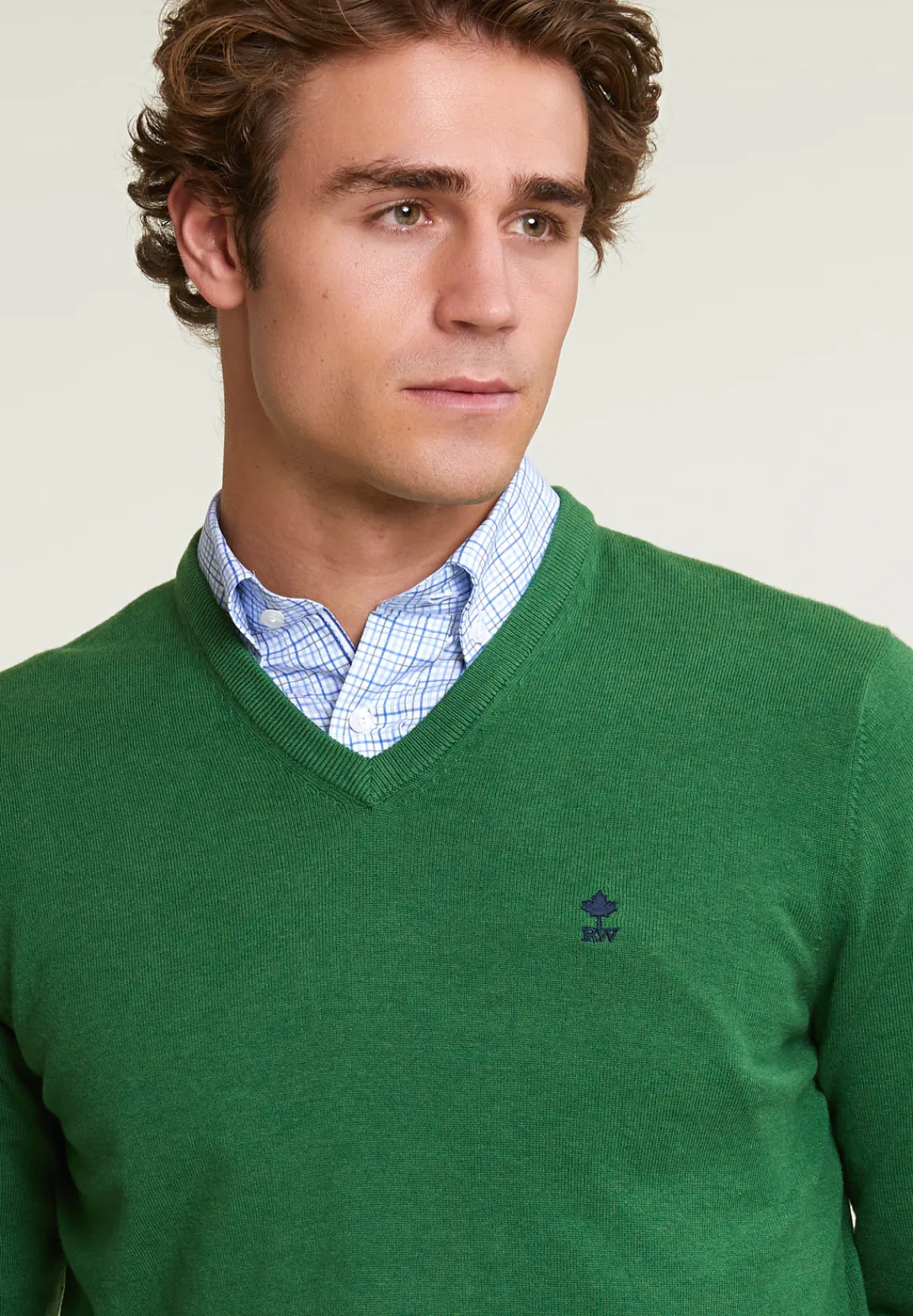 New River Woods Normal fit basic katoenen V-hals trui belize mix -