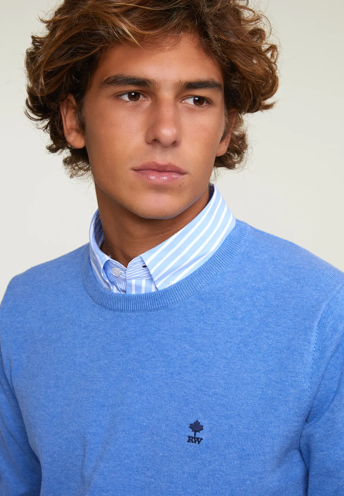 Online River Woods Normal fit basic katoenen trui ronde hals lt hamptons blue mix -