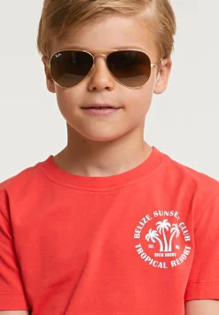 New River Woods Normal fit basic T-shirt korte mouwen cornell red -