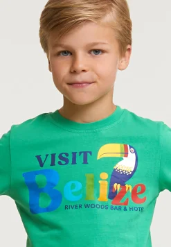New River Woods Normal fit basic T-shirt korte mouwen apple -