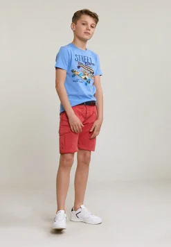 Hot River Woods Normal fit basic T-shirt korte mouwen sky -