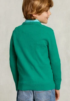 New River Woods Normal fit basic V-hals trui green twist mix -