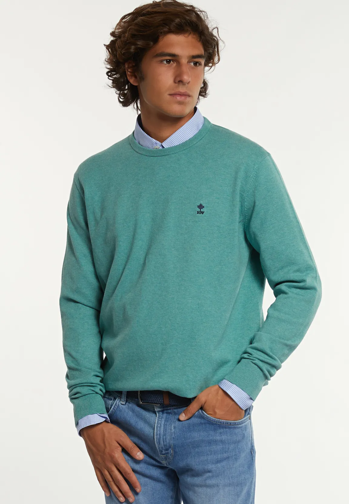 Outlet River Woods Normal fit katoenen basic trui ronde hals well mix -