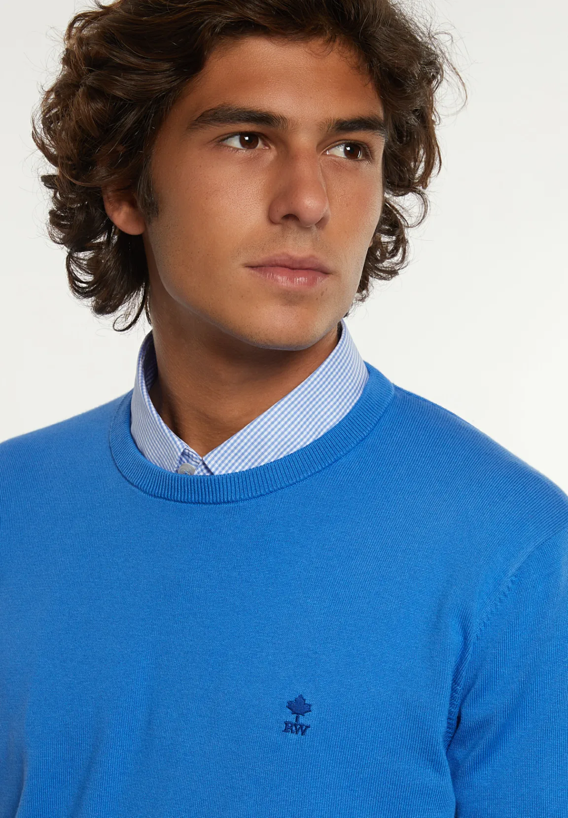 Hot River Woods Normal fit katoenen basic trui ronde hals azure -