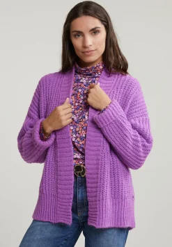 Fashion River Woods Paarse korte V-hals cardigan -